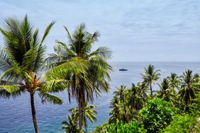 Green palm trees of Serua Island, Indonesia, with the Aqua Blu cruise ship shown in the background