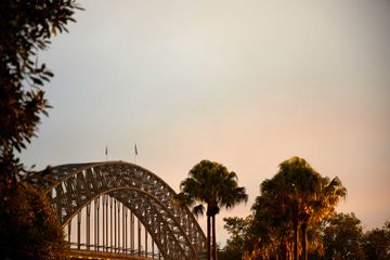 View of palm trees and the Harbour Bridge in Sydney, Australia