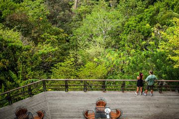 Best Resorts in Central America, according to Travel + Leisure's World's Best Survey (pictured: Lapa Rios)