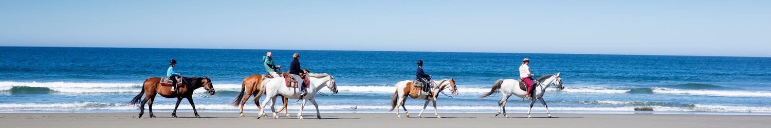 Group of people riding horses along the beach