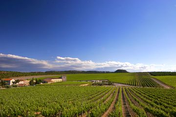 Chateau l’Hospitalet vineyard landscape under blue skies