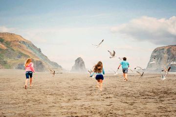 Kids running on a beach, with seagulls