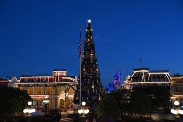 Halloween decor is taken down and replaced with holiday decorations all in one night along Disney's Main Street.