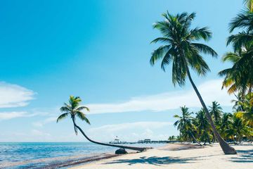 Best Places to Visit in Florida