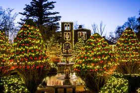 The Best Places to See Christmas Lights in Every State