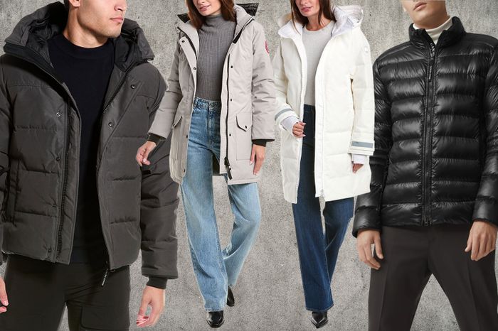 Gilt Sale (Canada goose) tout