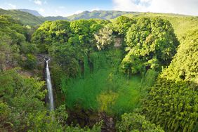 Haleakala National Park, Makahiku Falls, Maui, Hawaii
