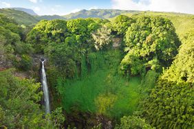 Haleakala National Park