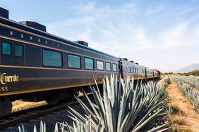 Cuervo Tequila Train exterior