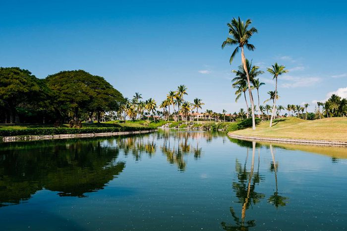 Palm trees reflect in a golf course pond in Hawaii