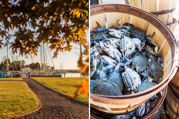 Scenes from Chesapeake Bay, Maryland