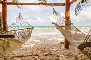 Hammocks shaded by palm trees on the beach.