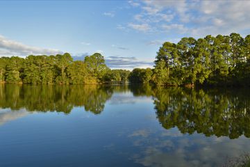 Sea Pines Forest Preserve in Hilton Head showing trees reflection in water on a clear day