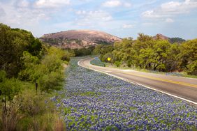 Curving roadway and Texas Bluebonnets with Enchanted Rock in the distance