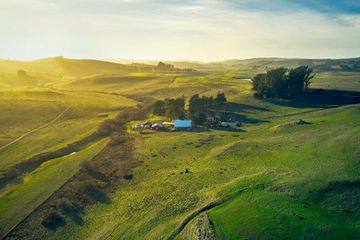 Aerial view of green rolling hills at Sagra at Stemple Creek Ranch