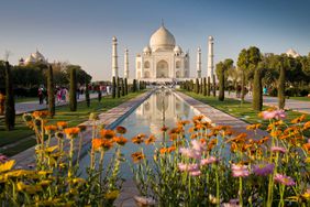Taj Mahal with bright flowers in foreground