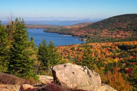 Fall Scenes from Acadia National Park, Maine