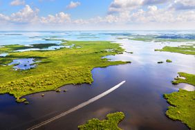 Aerial of a boat going through the Everglades
