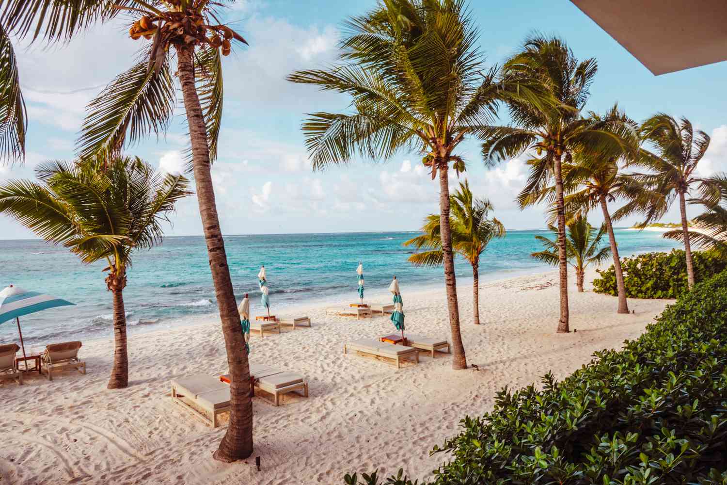 Palm trees and lounge chairs on a beach in Anguilla