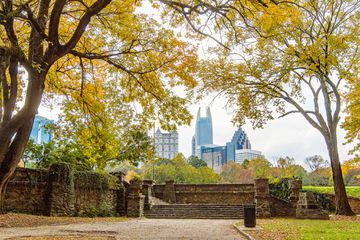 Atlanta skyline through fall leaves