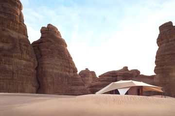 Banyan Tree AlUla
