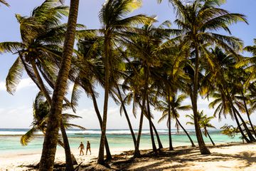 Couple sur la plage de la FeuillÃÂ¨re, Capesterre, Marie-Galante, Archipel de Guadeloupe, France / A couple on La FeuillÃÂ¨re's beach, Capesterre, Marie-Galante, Guadeloupe, France