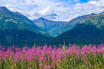 Chugach State Park in Anchorage, Alaska