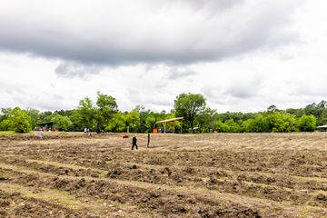 Crater of Diamonds State Park with brown soil in Arkansas dirt landscape meadow field and people digging searching for minerals