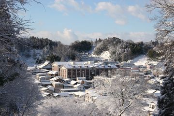 Buildings surrounded by snowy trees in Japan