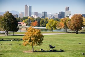 Denver park during the fall