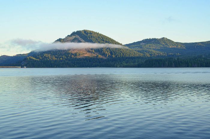 Rolling hills by Dorena Lake