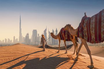 An Arab man leading camels on a sand dune in the desert with Dubai skyline in the background.