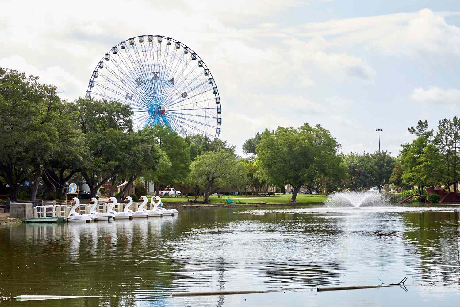 Pond with swan boats and ferris wheel in the distance at Dallas' Fair Park