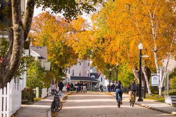 Fall trees on Mackinac Island