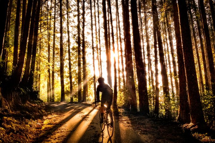 Cycling through the woods in Fall.