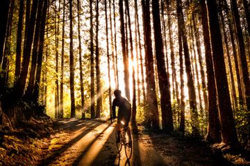 Cycling through the woods in Fall.