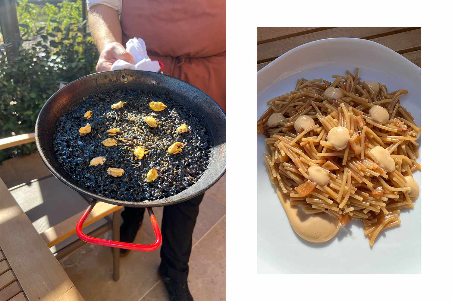 Arroz negro and Fideau at Mas d'en Bruno in Priorat, Spain