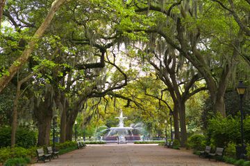 Historic Forsyth Park