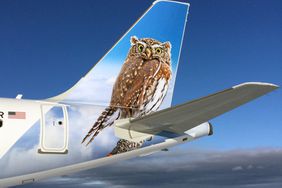 A photo of an owl on a Frontier Airlines airplane tail
