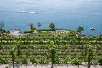 Vineyard and garden at Giardini del Fuenti overlooking the ocean