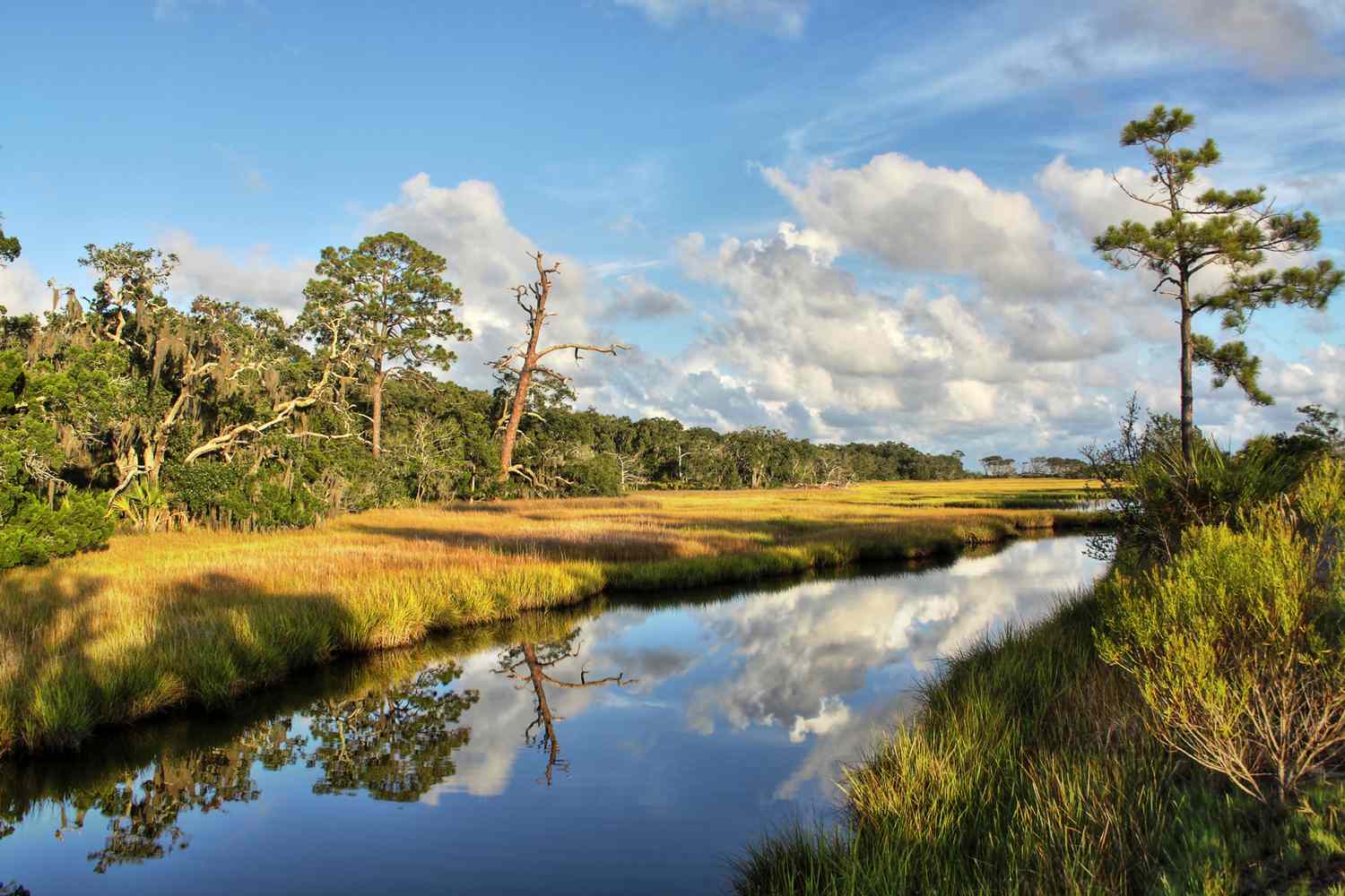 Salt marsh at Clam Creek on Jekyll Island, Georgia.