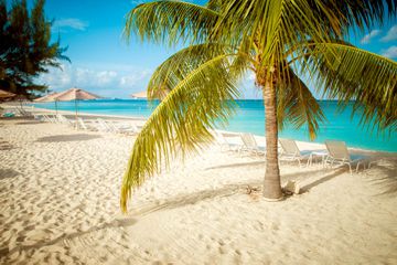 Tropical beach 