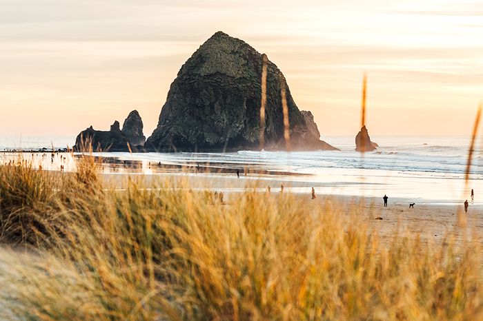Cannon Beach on the Oregon Coast during sunset 