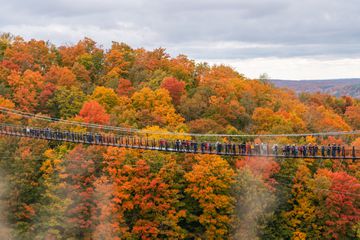 Skybridge in Michigan in fall 