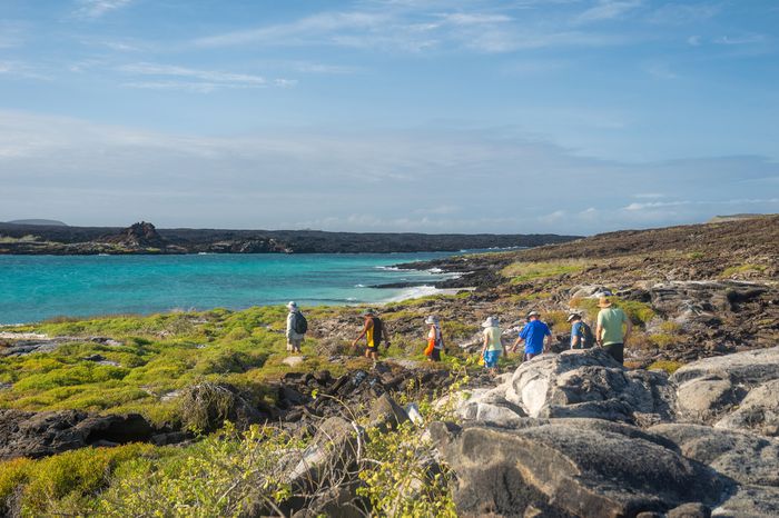 A tour group hiking around the Galapagos. 