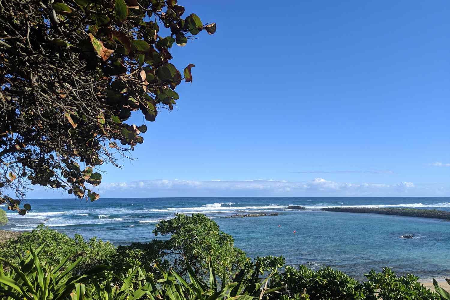 Green plans along Kuilima Cove