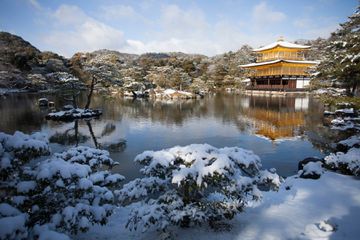 A pond surrounded by snow covered bushed in Kyoto, Japan