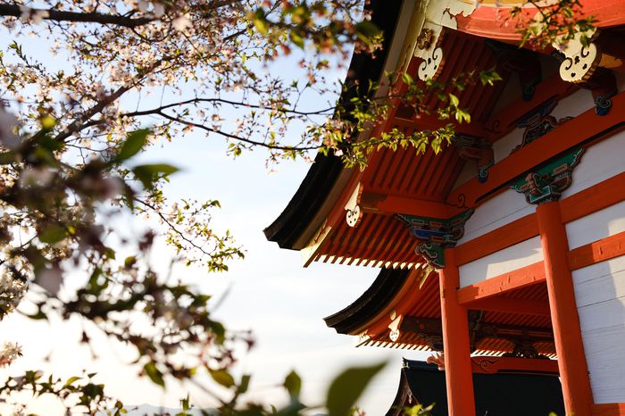 Temple with cherry blossoms
