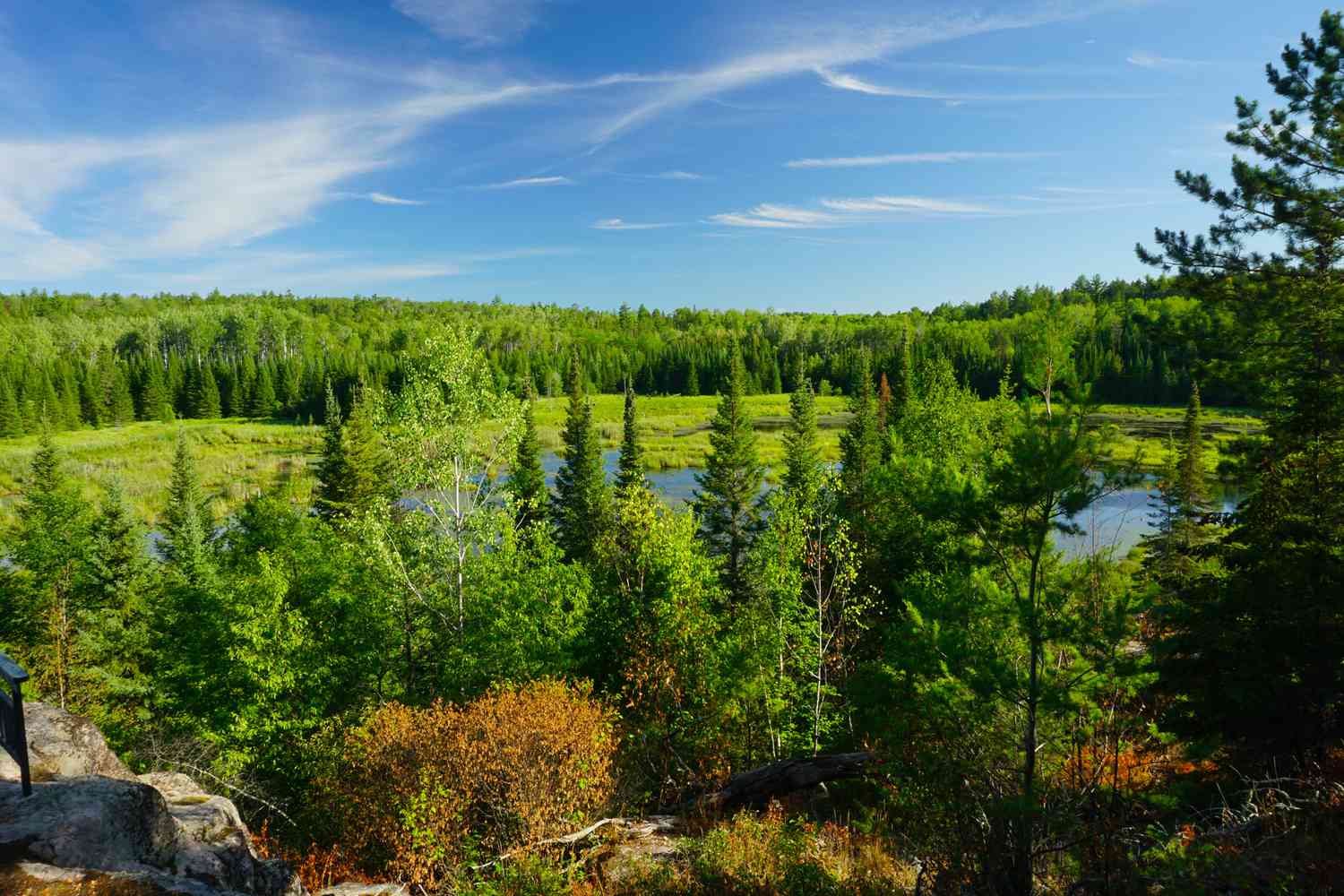 Daytime landscape 