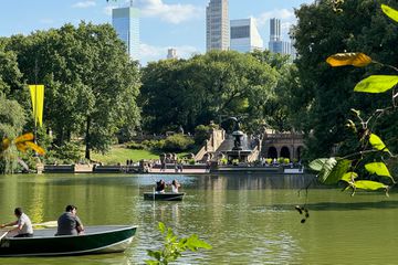 Rowboats in Central Park